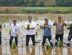 Di Hadapan Petani Jepara, Wamentan Sudaryono Janji Atasi Persoalan Pupuk 