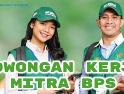 Lowongan Kerja Mitra Statistik 2025, Lulusan SMA Boleh Daftar, Maksimal Usia 50 Tahun
