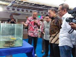 Fadli Zon Komitmen Lindungi Cagar Budaya Bawah Air, Kementerian Kebudayaan Genjot Kompetensi SDM Pelestarian CBBA