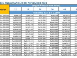 Tabel KUR BRI November 2024 Sudah Dirilis, Pinjaman Mulai Rp1 Juta, Simak Tips Agar Pengajuan Disetujui