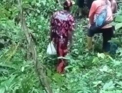 Viral 3 Bocil asal Demak Mabuk Kecubung, Hilang di Hutan Somosari Jepara, Begini Kondisinya