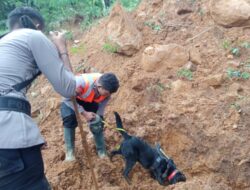 Detik-detik K9 Temukan Jasad Bayi Korban Longsor Petungkriyono Pekalongan, Total 21 Korban Meninggal Dunia
