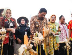 Sistem Methuk Bikin Panen Jagung di Daerah Ini Melimpah, Petani Raih Cuan Hingga Rp20 Miliar