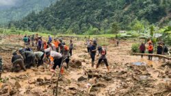 Update bencana longsor Petungkriyono Pekalongan, Total 23 korban meninggal (Foto:Ist)