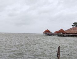 PENAMPAKAN Kapal Tongkang Batubara Terdampar di Perairan Pantai Kartini, Ancam Kura-Kura Ocean Park