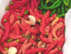 Cabai Rawit Merah di Jateng Tembus Rp85 Ribu, Ahmad Luthfi Ingin Pemerataan Pasokan