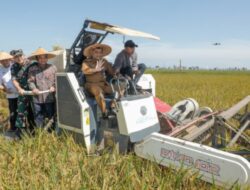 2025, Jateng Optimistis Mampu Penuhi Target 11,8 Juta Ton Padi
