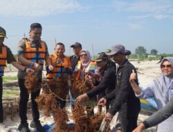 Auto Jadi Sultan, Cuan Budidaya Rumput Laut di Pesisir Bondo Jepara Tembus Ratusan Juta Rupiah