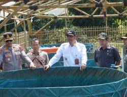 CARA Jepara Dukung Progam Ketahanan Pangan, Bentuk Kompi Produksi Maksimalkan Lahan Perumda Hingga Dana Desa untuk 3 Sektor Ini