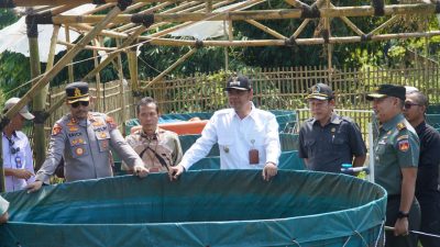 CARA Jepara Dukung Progam Ketahanan Pangan, Bentuk Kompi Produksi Maksimalkan Lahan Perumda Hingga Dana Desa untuk 3 Sektor Ini