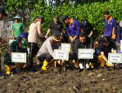 1000 Mangrove Ditanam di Pesisir Kedungmalang Jepara, Upaya Atasi Abrasi