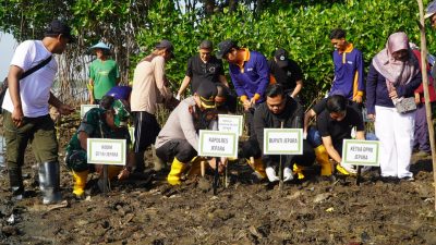 1000 Mangrove Ditanam di Pesisir Kedungmalang Jepara, Upaya Atasi Abrasi
