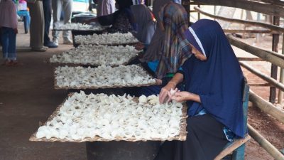 Dua UMKM Desa Dongos Ini Bikin Kepincut Bupati, Dorong Sinergi Perkuat UMKM dan Ekonomi Lokal