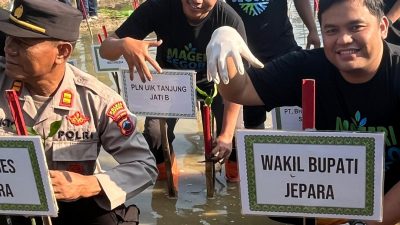 Cegah Abrasi, Jepara Tanam 23 Ribu Mangrove lewat Gerakan Mageri Segoro