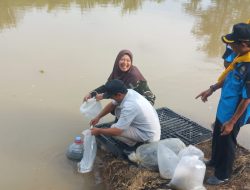 50 Ribu Benih Ikan Tawes, Tombro Hingga Gabus Ditebar di Sungai Jepara, Ini Lokasinya