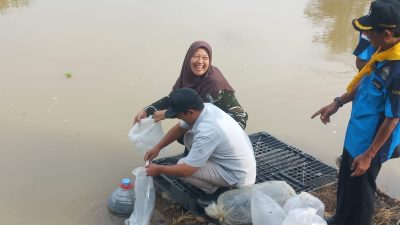 50 Ribu Benih Ikan Tawes, Tombro Hingga Gabus Ditebar di Sungai Jepara, Ini Lokasinya