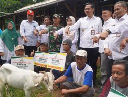 Batealit Jadi Sentra Peternakan Boer Asal Afrika Selatan, Bupati Serahkan 110 Ekor Kambing ke Peternak