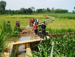 Susuri Jalan Setapak di Persawahan, Bupati Cek Pembangunan Irigasi di Donorojo