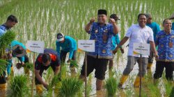 Suwawal Dipilih Jadi Lokasi Inovasi Hasil Kolaborasi BRIN - Jepara, Fokus Optimalisasi Lahan Terdampak