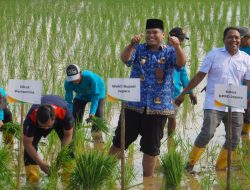 Suwawal Dipilih Jadi Lokasi Inovasi Hasil Kolaborasi BRIN – Jepara, Fokus Optimalisasi Lahan Terdampak