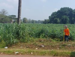 4 Sekolah Rakyat Baru Bakal Beroperasi di Jateng Mulai Tahun Ini, Ada yang dari Plat K