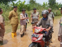 Ini Pemicu Banjir di Sowan Kidul dan Tegalsambi, 25 Tahun Baru Dinormalisasi