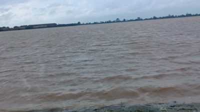 Petani di Jepara Rugi Puluhan Miliar, Ribuan Hektar Sawah Puso Gegara Banjir