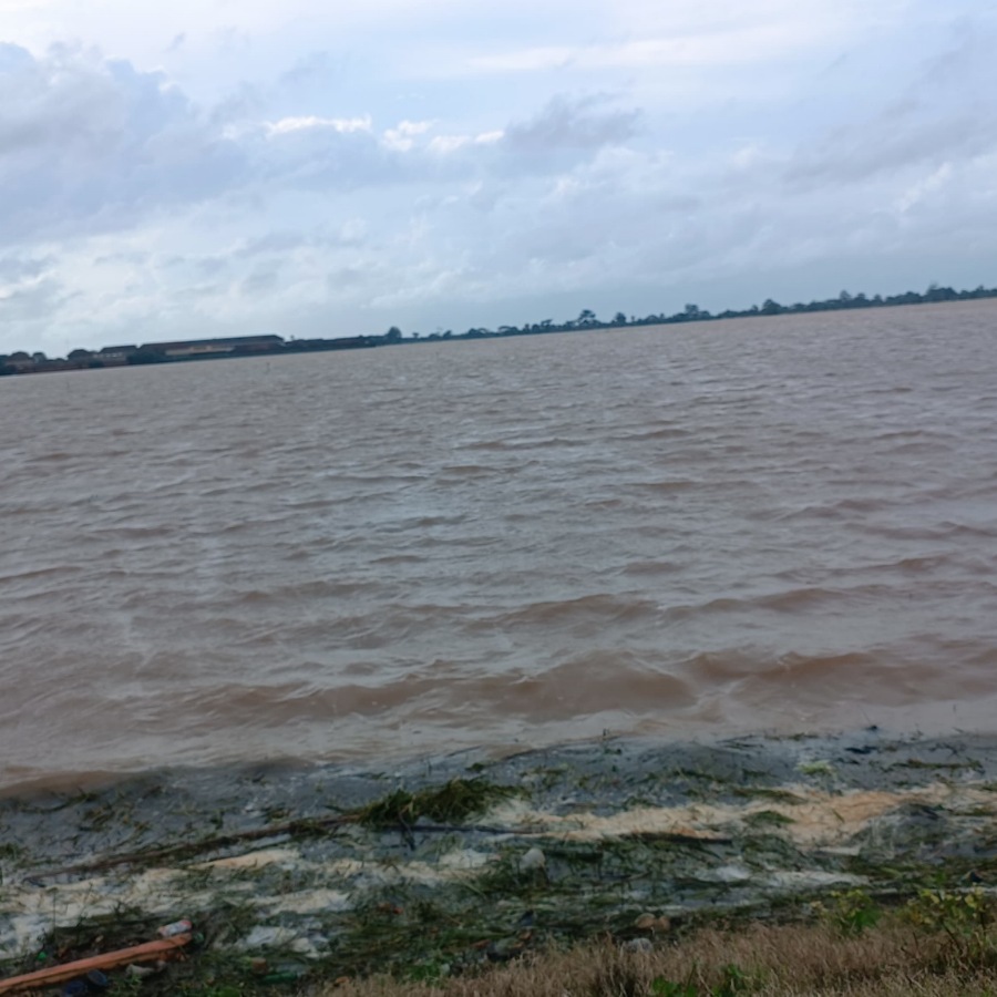 Petani di Jepara Rugi Puluhan Miliar, Ribuan Hektar Sawah Puso Gegara Banjir