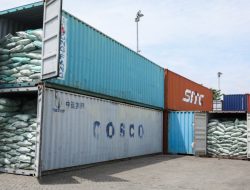 KRONOLOGI Terbongkarnya Penyelundupan 90,2 Ton Kratom di Tanjung Emas, Diintai Sejak September