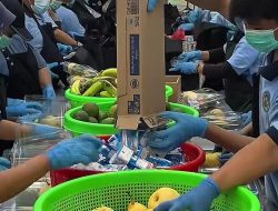 Kata BGN Soal Menu MBG SPPG Mindahan Jepara yang Viral di Medsos