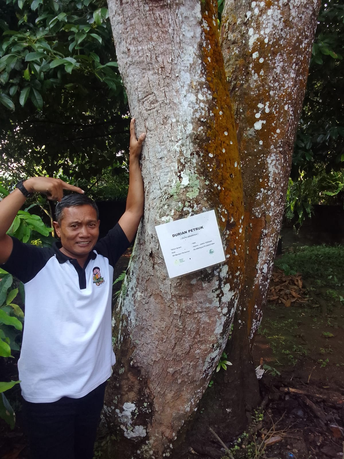 Durian Petruk dan Kalinyamat Jepara Tak Khawatir Punah, Berhasil Dibawa Pulang ke Bumi Kartini