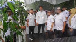 Lahan Pinggir Jalan di Kembang Jepara Disulap Jadi “ATM Desa”, Sekali Panen Bisa Cuan Rp1 Juta per Pohon