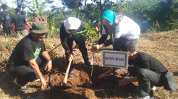 Petasol Jadi Laboratorium Hidup Inovasi Energi di Jepara, Ini Kelebihannya