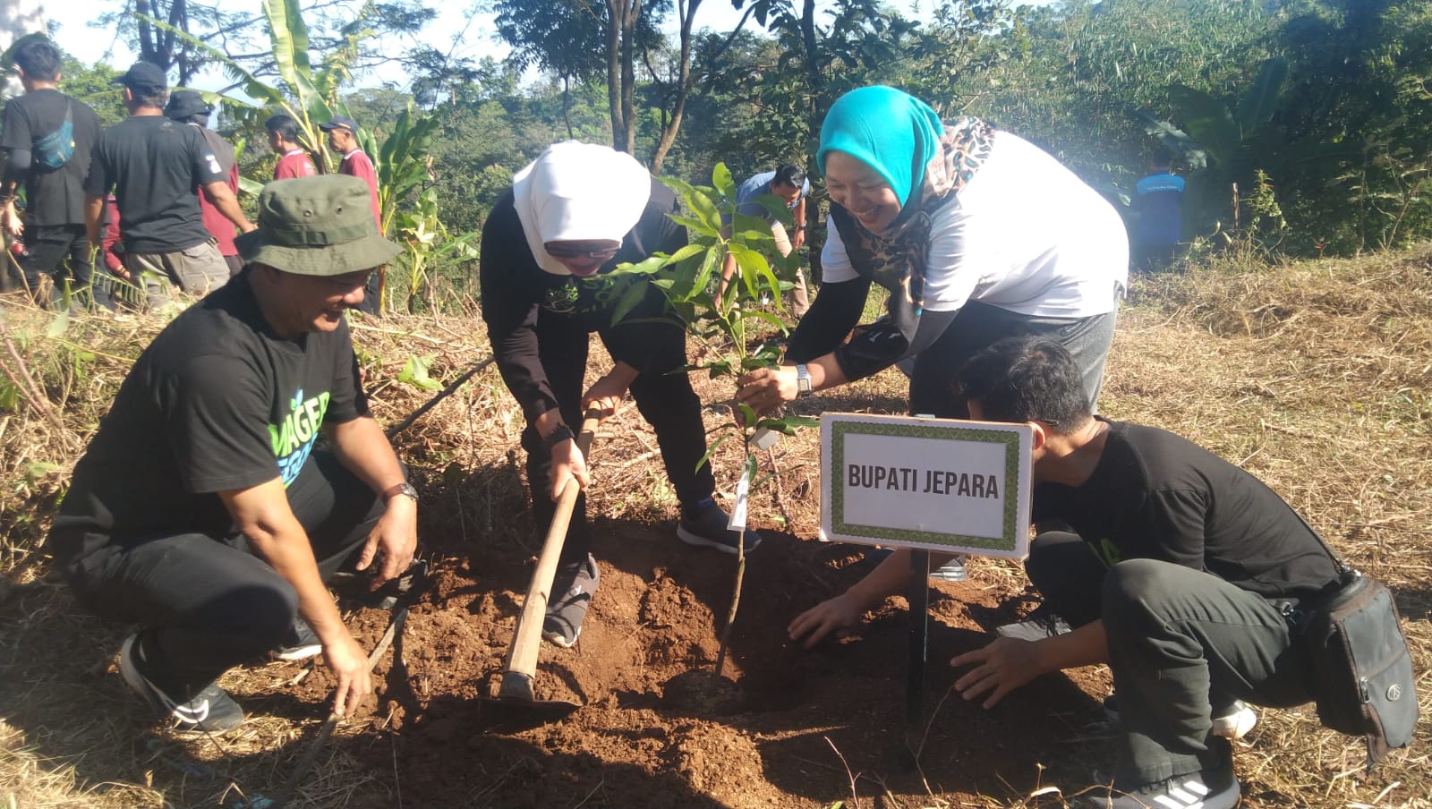 Petasol Jadi Laboratorium Hidup Inovasi Energi di Jepara, Ini Kelebihannya