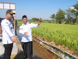 Desa Kedungleper Disasar TMMD, Bangun Jalan Usaha Tani dan 3 RTLH, Target Kelar Sebulan