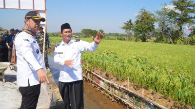 Desa Kedungleper Disasar TMMD, Bangun Jalan Usaha Tani dan 3 RTLH, Target Kelar Sebulan