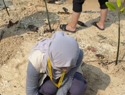 CARA Tim KKN UGM Bhavana Peduli Nelayan dan Jepara, Tanam Cemara Hingga Bagi Strip Gula Darah