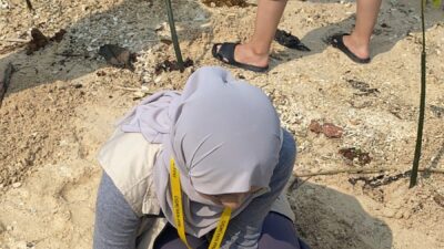 CARA Tim KKN UGM Bhavana Peduli Nelayan dan Jepara, Tanam Cemara Hingga Bagi Strip Gula Darah