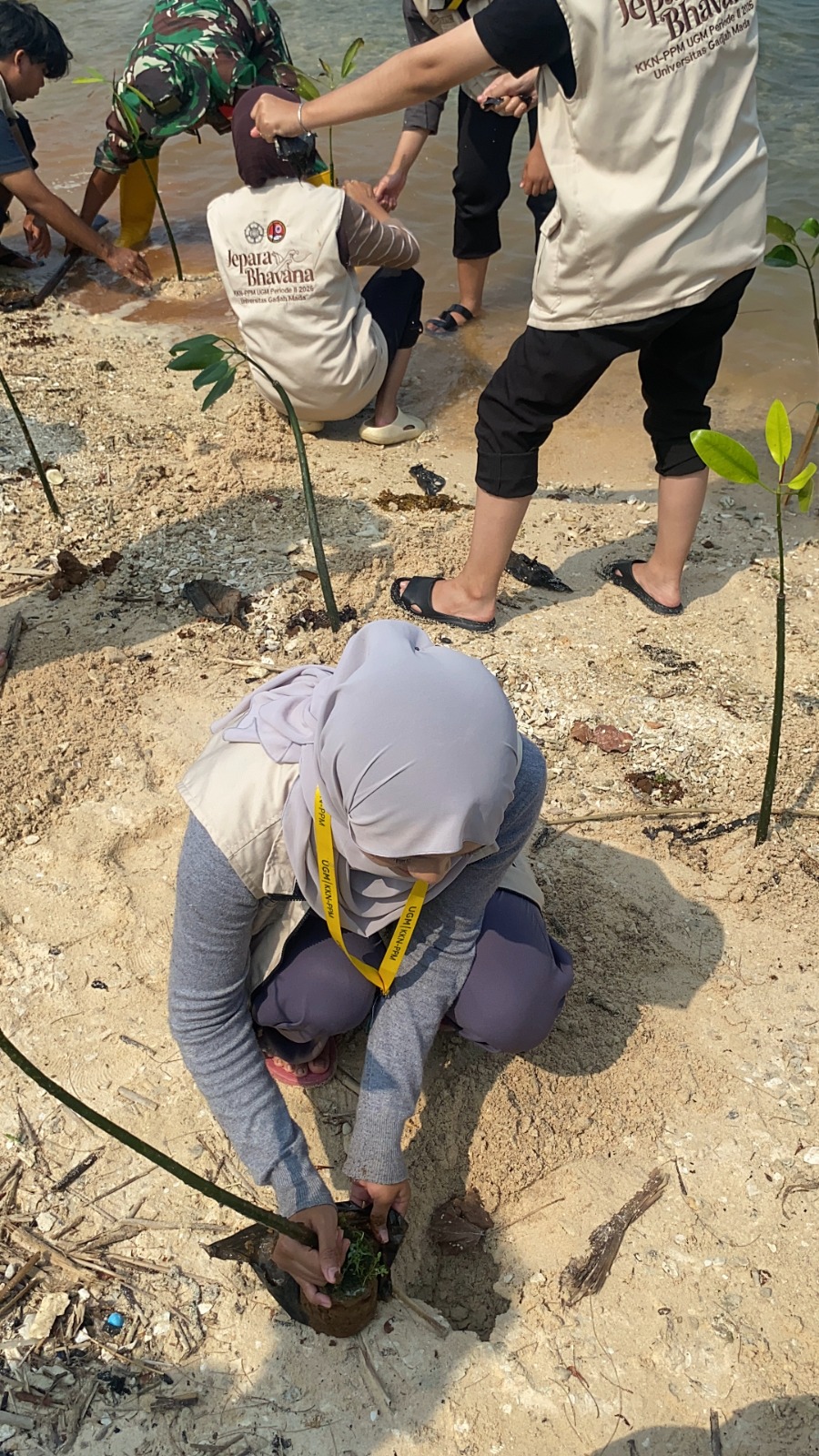 CARA Tim KKN UGM Bhavana Peduli Nelayan dan Jepara, Tanam Cemara Hingga Bagi Strip Gula Darah