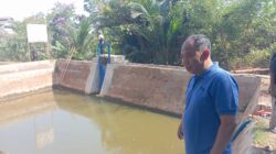 Antisipasi Gagal Panen dan Kekeringan, Irigasi dan Sumber Air di Jepara Diperkuat