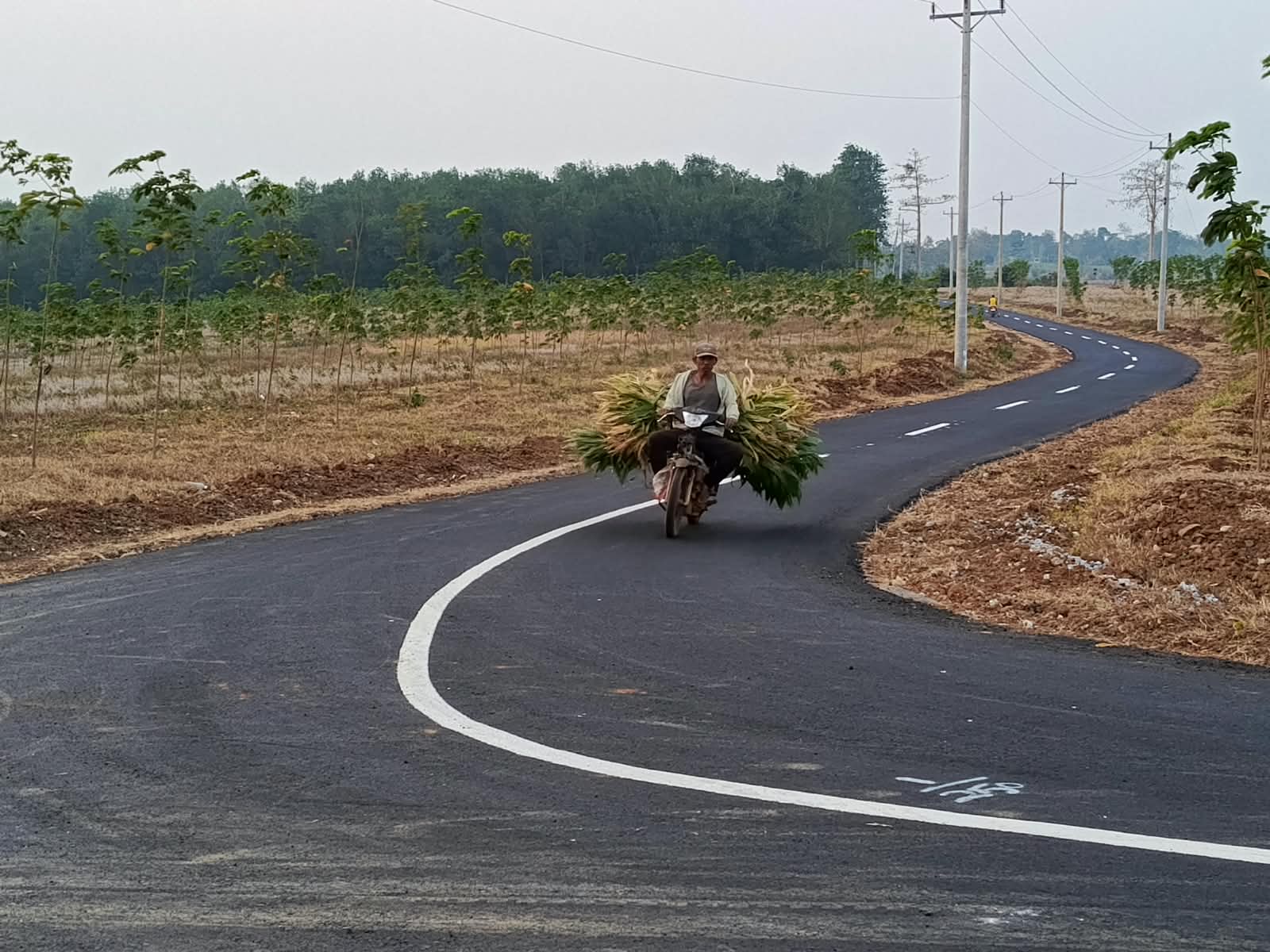 Mirip Lukisan, Begini Kondisi Jalan Keling-Bumiharjo yang Mulus dengan Background Gunung Muria